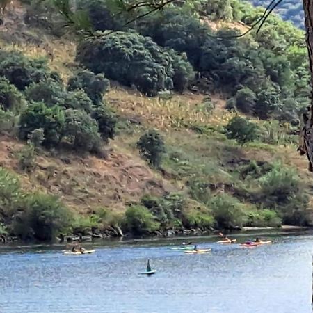 Вілла Quinta Do Rijo Торрі-ді-Монкорву Екстер'єр фото